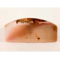 Cabochon agate dendritique russe