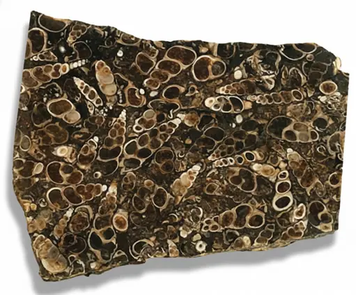 L’histoire, les bienfaits et vertus de l’agate fossile