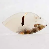 Cabochon agate horse canyon