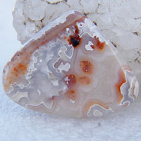 cabochon agate mexicaine crazy lace T