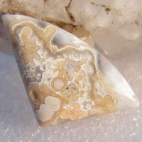 cabochon agate mexicaine crazy lace W