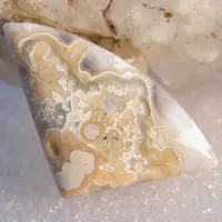 Cabochon agate mexicaine crazy lace W