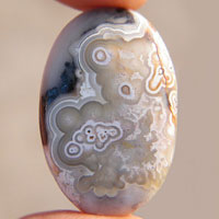 cabochon agate mexicaine crazy lace X