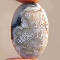 Cabochon agate mexicaine crazy lace X