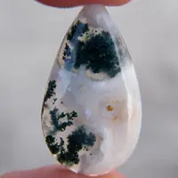 Agate mousse cabochon D