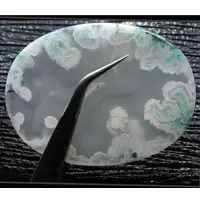 Agate mousse cabochon F