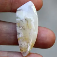 Agate point plume graveyard C cabochon
