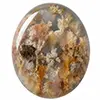 Nos cabochons d’agate point plume graveyard