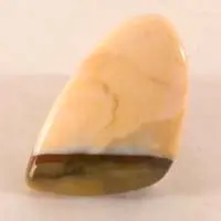 Cabochon agate polka tricolore