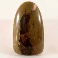 Cabochon agate priday plume B