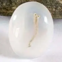 Cabochon agate transparente mousse