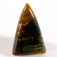 Cabochon bogwood