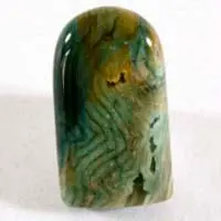 Cabochon bogwood pétrifié