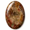 Nos cabochons de bois
