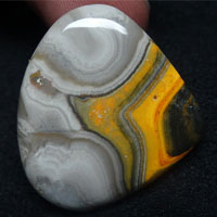 cabochon jaspe bumblebee E