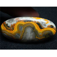 cabochon jaspe bumblebee G