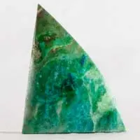 Cabochon chrysocolle perroquet