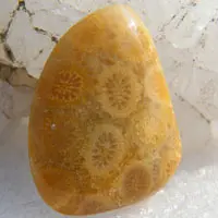Cabochon corail B