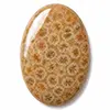 Nos cabochons de corail