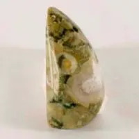 Cabochon jaspe forêt tropicale B