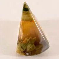 Cabochon jaspe forêt tropicale C