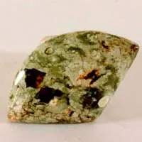 Cabochon jaspe forêt tropicale D