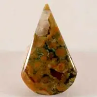 Cabochon jaspe forêt tropicale E