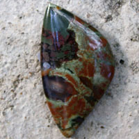 cabochon jaspe forêt tropicale F