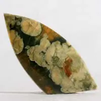 Cabochon jaspe forêt tropicale H