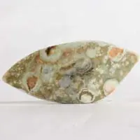 Cabochon jaspe forêt tropicale I
