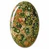 Les cabochons de jaspe forêt tropicale