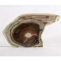 Cabochon jaspe impérial brute A