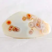Cabochon jaspe océan G