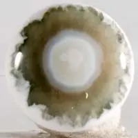 Cabochon jaspe océan J