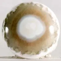 Cabochon jaspe océan K