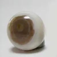 Cabochon jaspe océan L