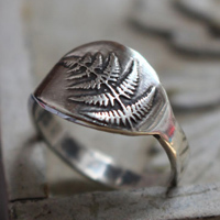 Pousse de fougère, bague nature en argent