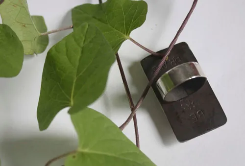 Sois courageux, bague encouragement en argent et jaspe Deschutes