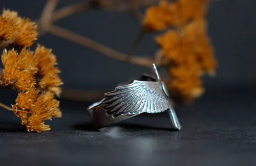 Suis ta destinée, bague corbeau et croissant de lune en argent