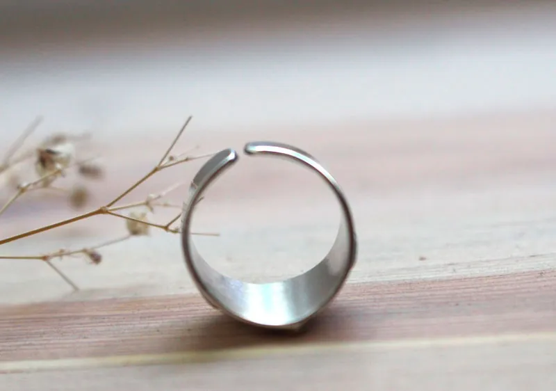 Vision, bague oeil en argent et laiton