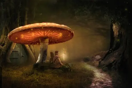 Fée fantastique inspirée de la mythologie celtique