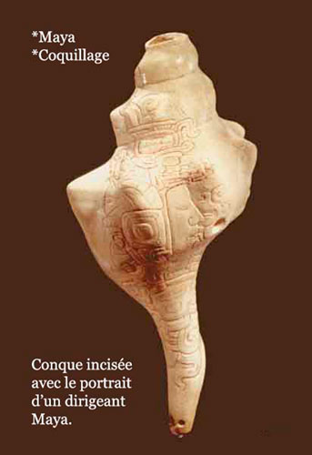 Conque maya gravée d’un visage
