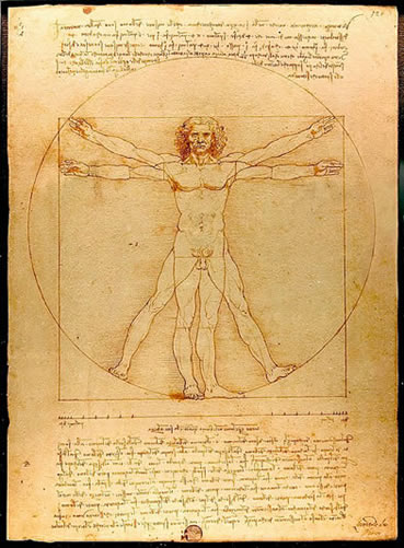 l’homme de vitruve selon Léonard de Vinci