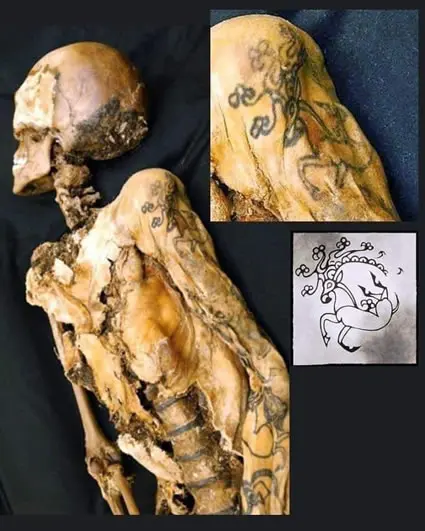 Tatouage de la princesse de l’Altaï représentant un cerf stylisé