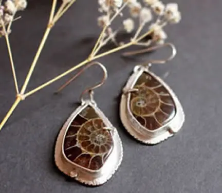 Ammonite, histoire et bienfaits