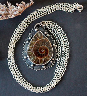 ammonite, histoire et bienfaits