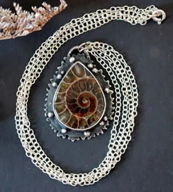 Ammonite, histoire et bienfaits