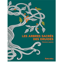 Les arbres sacrés des druides